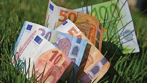 Onzekerheid troef over varkens- en pluimveerechten