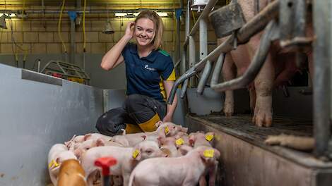 'Ik wil een brug slaan tussen wetenschap en varkenshouder'
