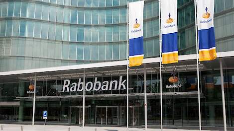 Dierbeschermingsorganisatie roept Rabobank op te stoppen met financiering grootschalige dierbedrijven en slachterijen