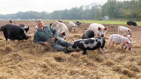 Subsidie, doorzettingsvermogen en snoepjes