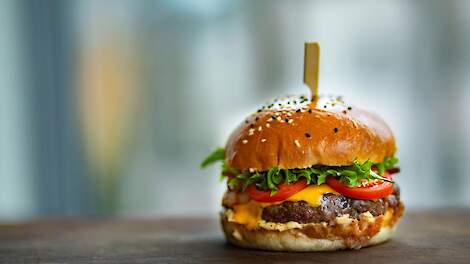 EU: ‘Vleesvervangers mogen niet langer het label ’burger’, ’schnitzel’ of ’steak’ gebruiken’