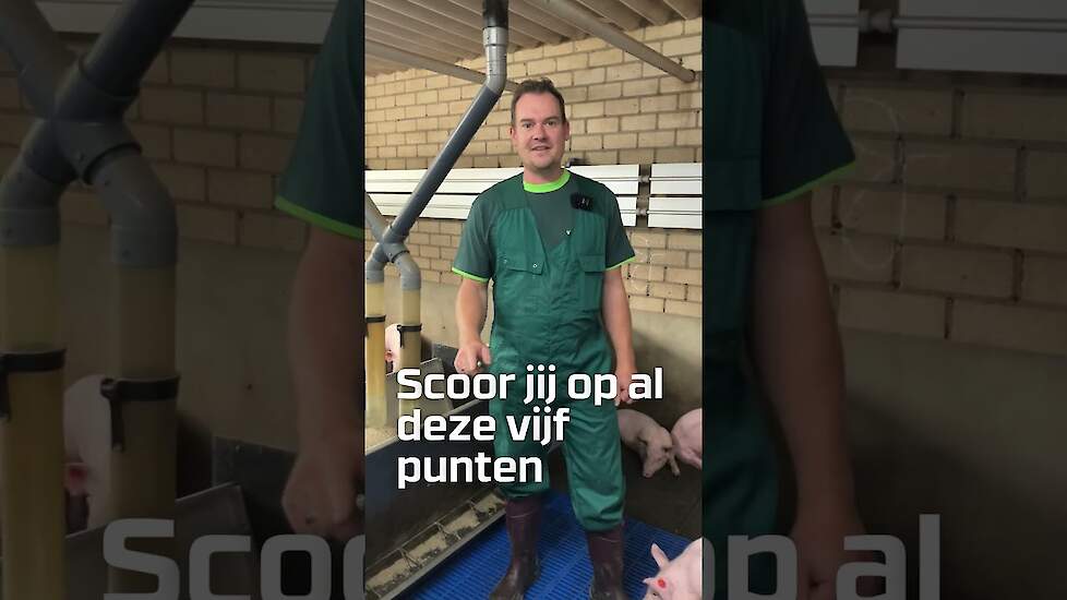 Hoe creëer je zo’n ‘vijfsterrenhotel’ in de stal