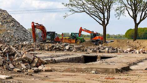 Uitkoopregeling Vlaamse varkensboeren doet stikstof onvoldoende dalen