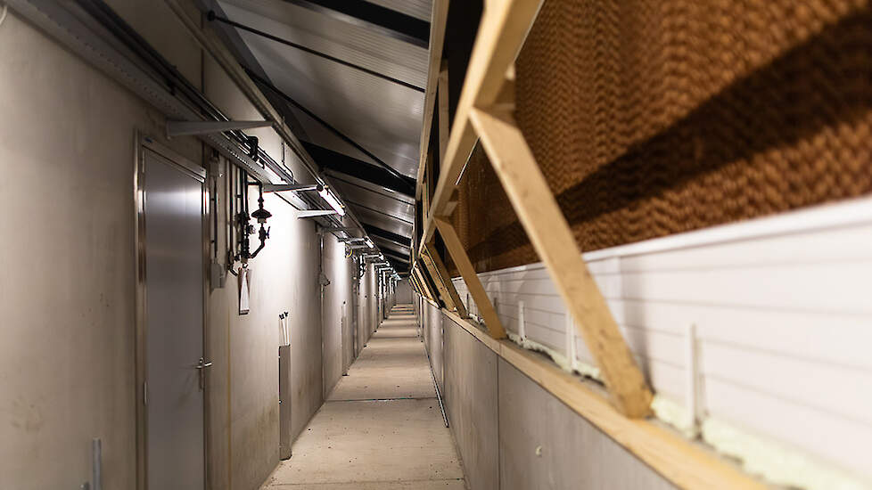 Het bedrijf staat in de polder, dus het risico op windinvloed is vrij groot. Daarom hebben ze ervoor gekozen om de luchtinlaat zo veel mogelijk weg van de standaard windrichting te bouwen. Bovendien kan de luchtinlaat makkelijk groter, of kleiner gemaakt