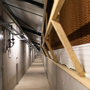 Het bedrijf staat in de polder, dus het risico op windinvloed is vrij groot. Daarom hebben ze ervoor gekozen om de luchtinlaat zo veel mogelijk weg van de standaard windrichting te bouwen. Bovendien kan de luchtinlaat makkelijk groter, of kleiner gemaakt