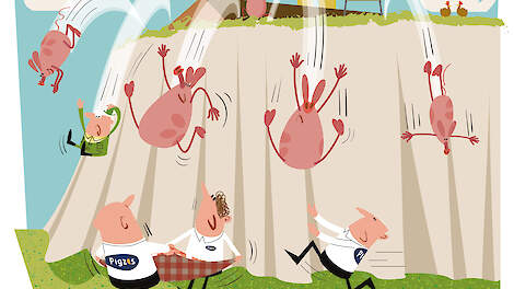 Dierziekten-verzekeringen vormen blinde vlek