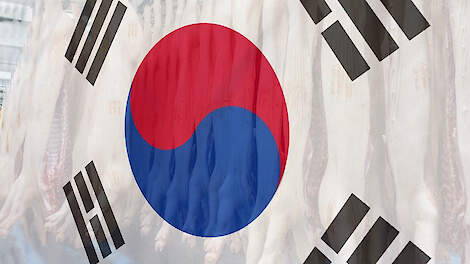 Zuid-Korea heropent markt voor Duits Varkensvlees