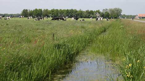 Hoe verdeel je de pijn? WUR onderzocht vier scenario’s om de nationale stikstofdoelen te bereiken