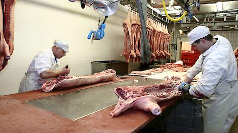 'Overaanbod aan slachtrijpe varkens en onzekerheid over de vleesverkoop'