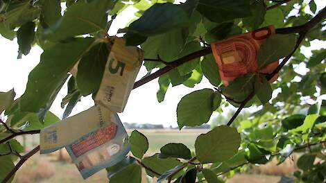 LTO: rapport Deloitte over kosten en baten gangbare landbouw 'karikatuur van de werkelijkheid'