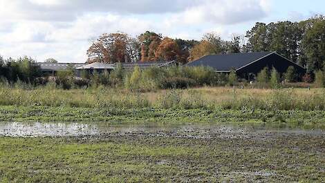 Advies experts bij formatie: 'Vooral stikstofreductie nodig in de landbouw'
