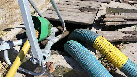 Lbv-regelingen drukken mestproductie stevig, maar fosfaatplafond blijft buiten bereik