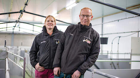 'Varkenscyclus duurt nog slechts twee jaar'