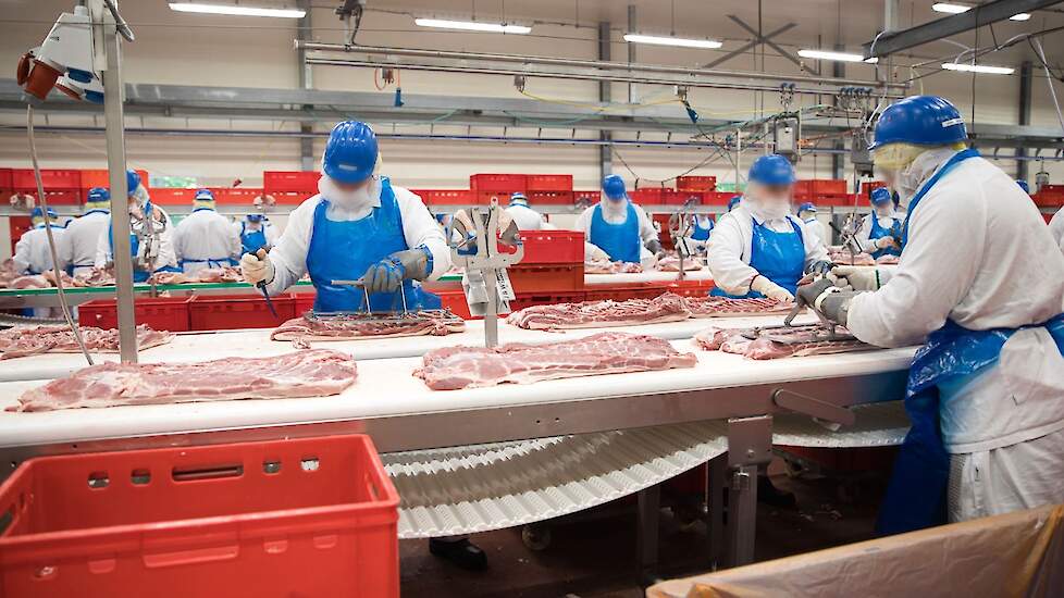 Vion wil varkensslachterij in Apeldoorn handhaven