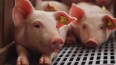 Iedereen weer met de voeten op de vloer