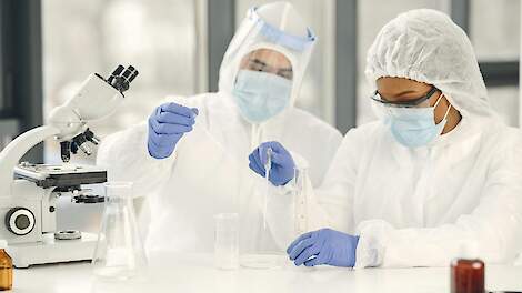 AVP-virus Spanje mogelijk afkomstig uit laboratorium Georgië