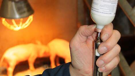 Benchmarkwaarde antibiotica speenbiggen omlaag in 2028