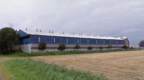 Januari: Straathof vertrekt uit Nederland, foute boel met de varkensprijs, Tönnies wil gaan invriezen