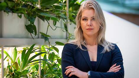 April: Stikstofplannen gelekt, varkenspest laait op, varkensprijs richting 2 euro