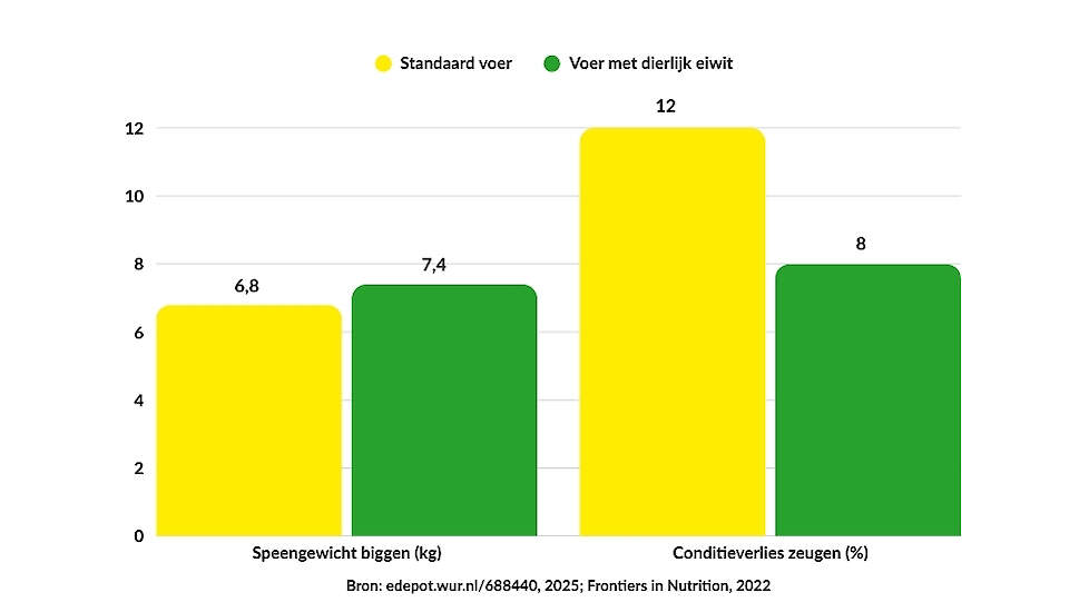 Effect van dierlijk eiwit in lactovoeders
