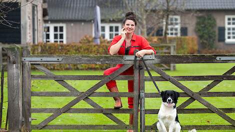 Het jaar dat de Brabantse stallendeadline wankelt: 'Beleid levert niks op, behalve buikpijn'