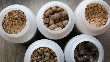 Nederland grootste daler productie varkensmengvoeders in 2025