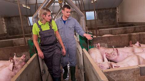 De moderne beer kan meer!