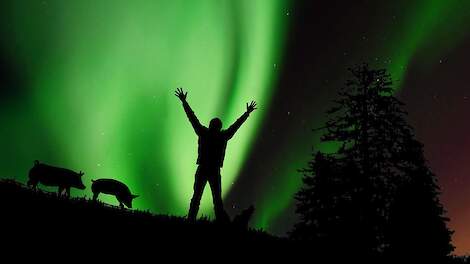 Column: ‘Nederland kan echt iets leren van Noorwegen’