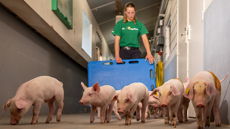 Spenen op vijf weken