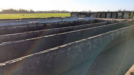 Veehouders vlakbij Natura 2000-gebieden krijgen voorrang bij nieuwe vrijwillige stoppersregeling