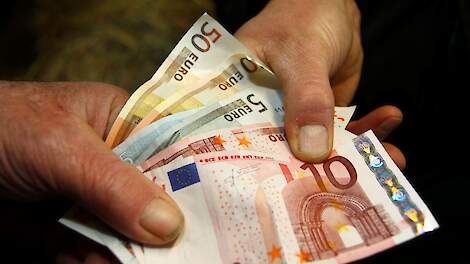 Moet Nederland haar systematiek van bepalen varkensprijs veranderen?