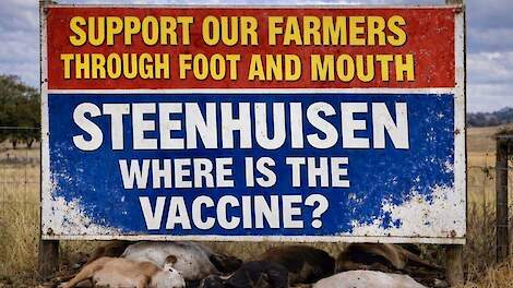 MKZ-epidemie stort veehouderij Zuid-Afrika in diepe crisis