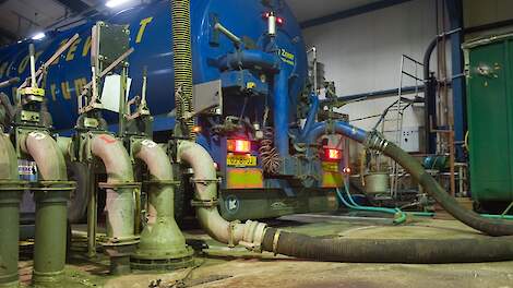 Export van varkensmest naar Duitsland daalt maar liefst 75 procent in vijf jaar tijd