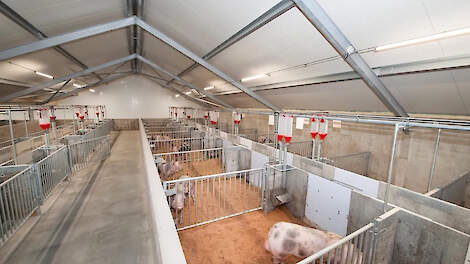 Samenwerking PIC en GFS zorgt voor drastische verandering van KI-wereld