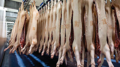 ‘Mogelijk pas in tweede helft 2026 prijsherstel’