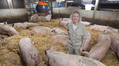 ‘Een eenvoudige manier om nieuwe inzichten te vergaren’