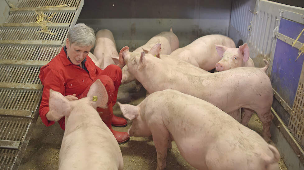 Hoofs: &bdquo;Tijdens die eerste stappen in de varkenshouderij weet ik dat ik iets wil betekenen voor het varken.&rdquo;