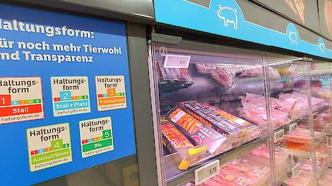 Aanzienlijke daling Nederlandse export varkens naar Duitsland