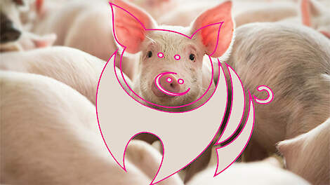 POV leden kiezen regio Noord bestuur