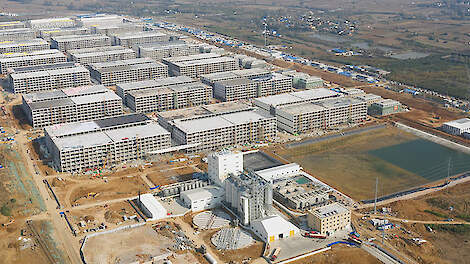 China’s grootse varkenshouder wil 1,2 miljard euro ophalen op beurs in Hongkong