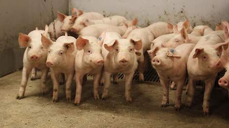 ‘Inzet combi-scraper in biggenstal laat emissies fors dalen’