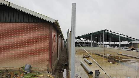 Milieuclubs houden nieuwbouw varkensstallen in Wintelre (NB) voorlopig tegen