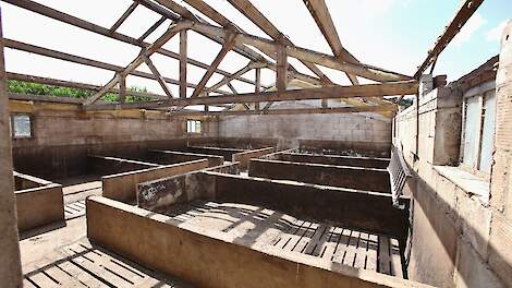 Stoppende Brabantse veehouders mogen 15 procent stikstofruimte gebruiken voor nieuwe activiteit