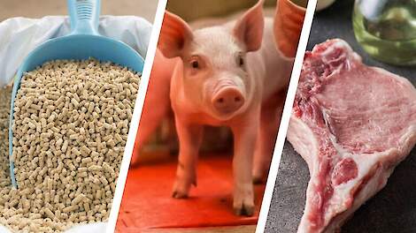 CoViVa-leden verlengen samenwerken met nieuw ambitieus actieprogramma