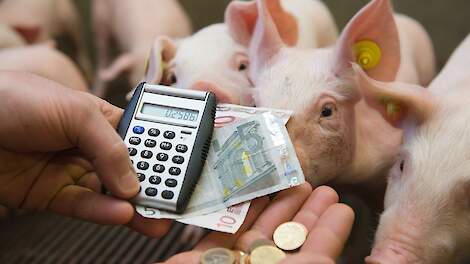 'PRRS kost sector 50 tot 150 miljoen per jaar'