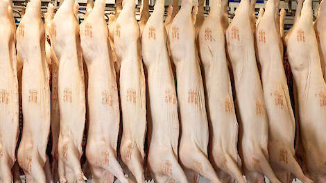 Duitse vleesproductie in 2025 vrijwel stabiel varkens stijgt licht