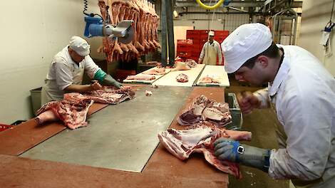 NVWA: ‘Nachtelijk slachten tijdens hitte niet mogelijk'