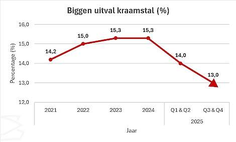 Grafiek: DanBred biggen uitval kraamstal