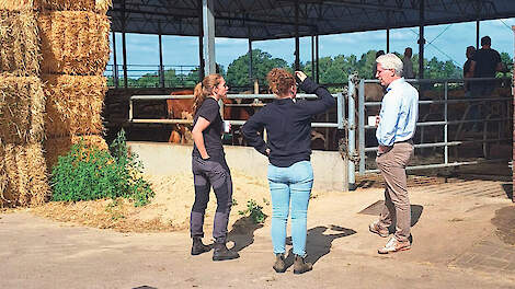 Fieldlab Dierwaardige Veehouderij; netwerk voor praktijkvragen