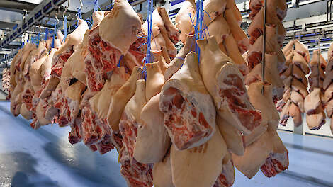 Financiële reserves varkensbedrijven redelijk op peil